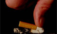 Austrian Council Smoking & Health