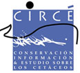 Logo Conservación, información y estudio sobre los cetáceos