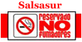 Logo de Salsasur